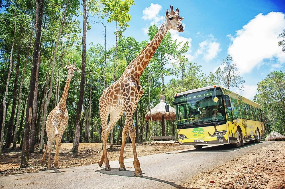 Vinpearl Safari Cần Giờ